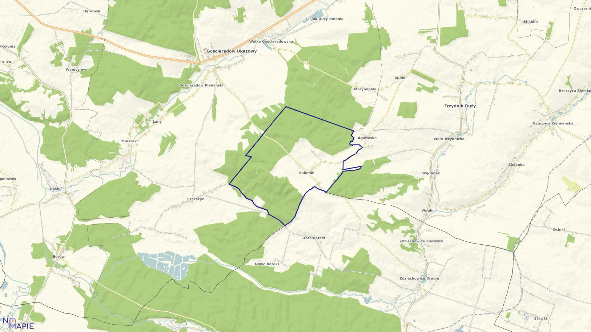 Mapa obrębu SALOMIN w gminie Gościeradów